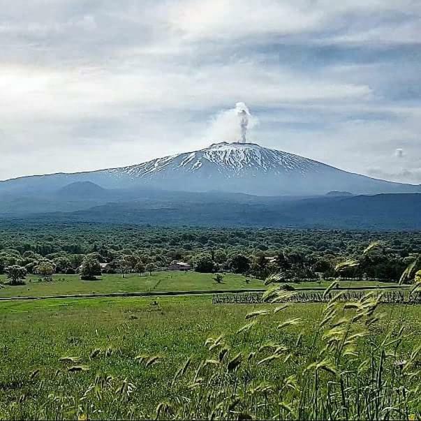 Vecchio Forno Villa Puntalazzo Exteriör bild